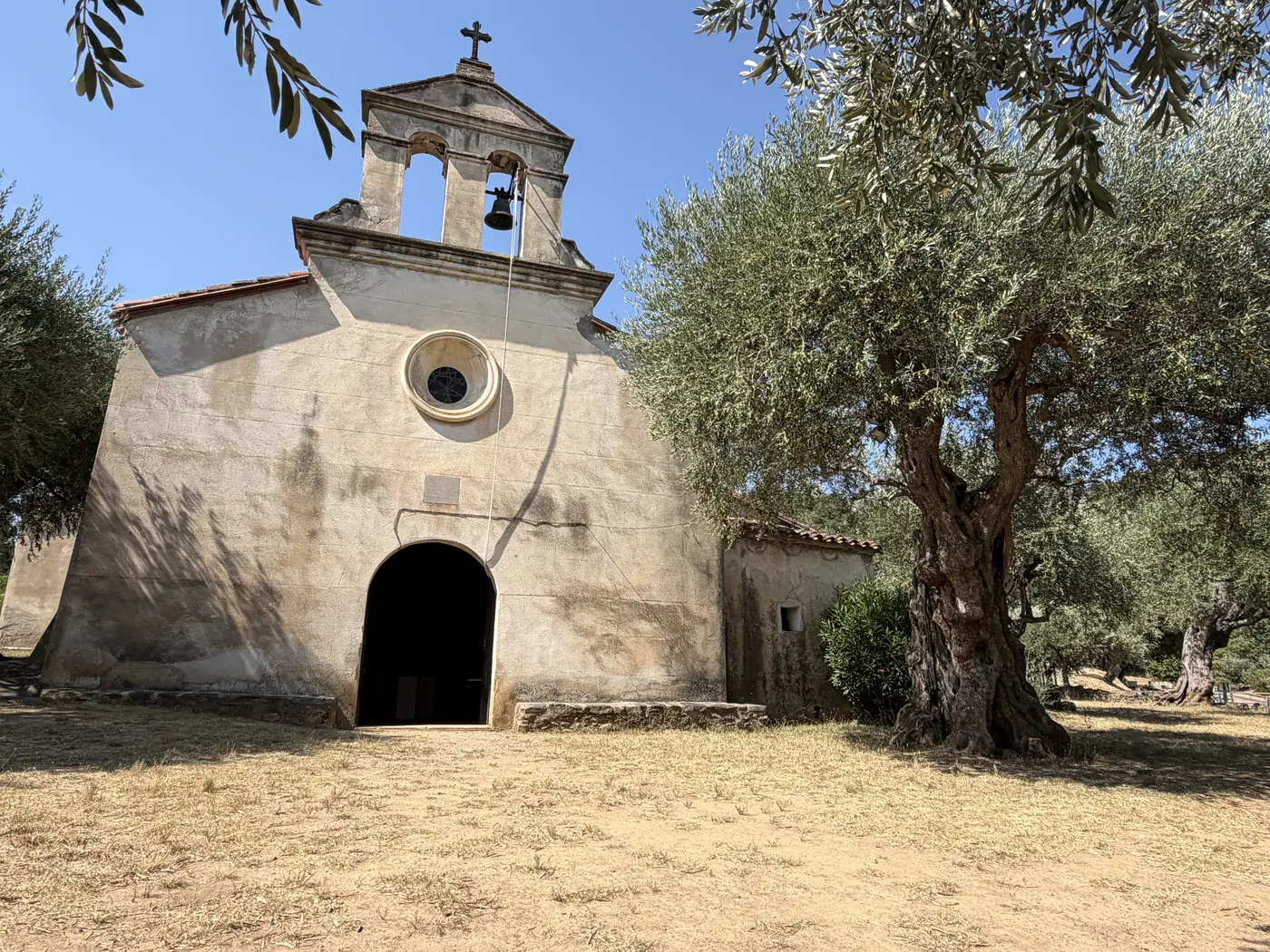 La Chapelle Saint-Paul de face, son clocher et son olivier