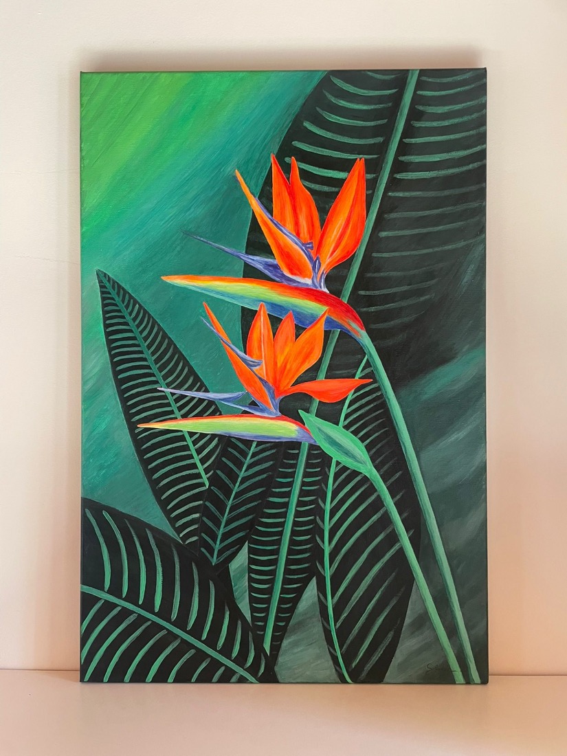 Évasion Tropicale